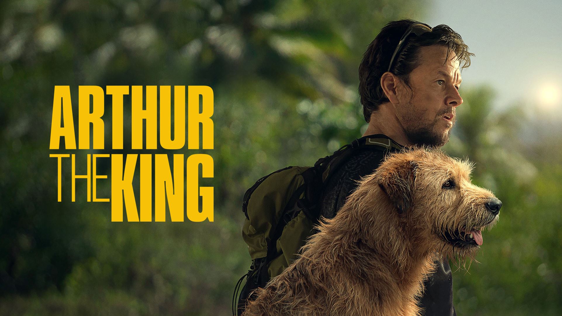 Watch & Download Arthur the King 2024 {year} Full HD Movie Online ...