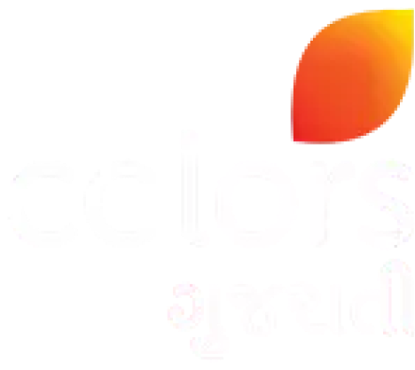 Colors Gujarati logo